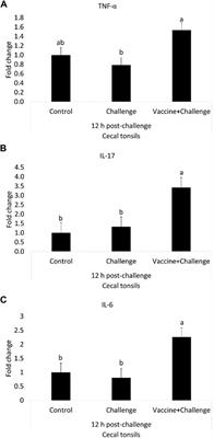 Immunization of Broiler Chickens With a Killed Chitosan Nanoparticle Salmonella Vaccine Decreases Salmonella Enterica Serovar Enteritidis Load